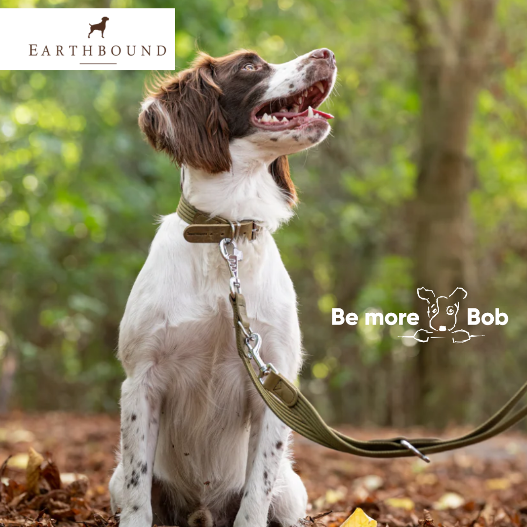 Earthbound Cotton Collar - Green