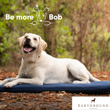 Load image into Gallery viewer, Earthbound Waterproof Bed / Crate Mat - Navy or Grey