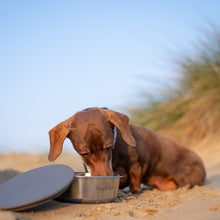 Load image into Gallery viewer, Lid-it Pet Bowl with Stay-Fresh Lid