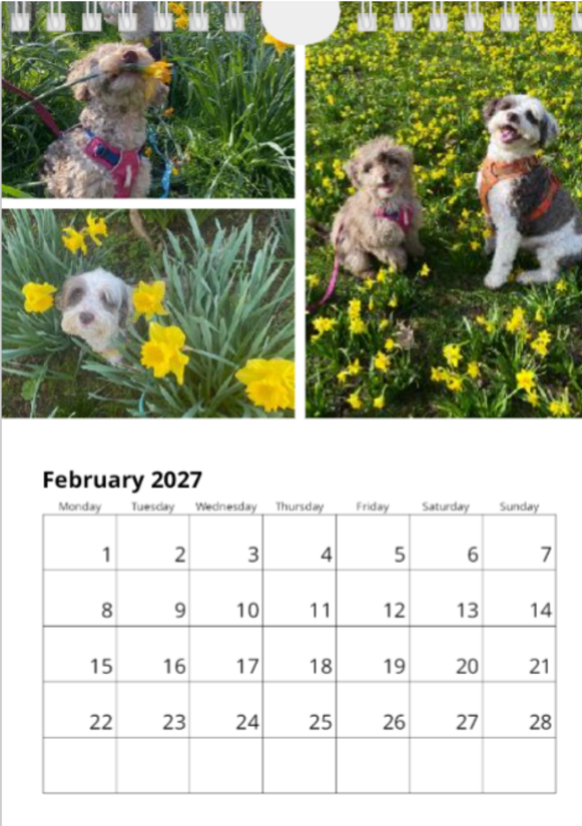 2027 Be More Bob Mini Wall Calendar - PRE ORDER