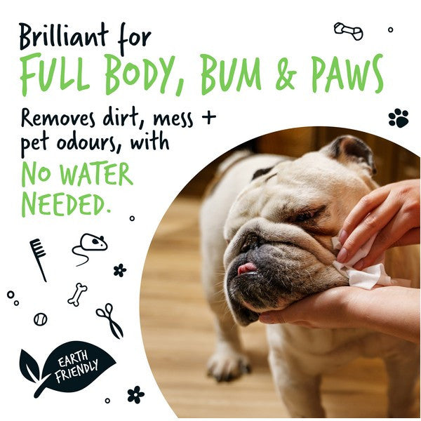 Bugalugs Biodegradable Wipes Fragrance Free