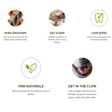 Load image into Gallery viewer, Whimzees Toothbrushes & Alligators - S/M/L