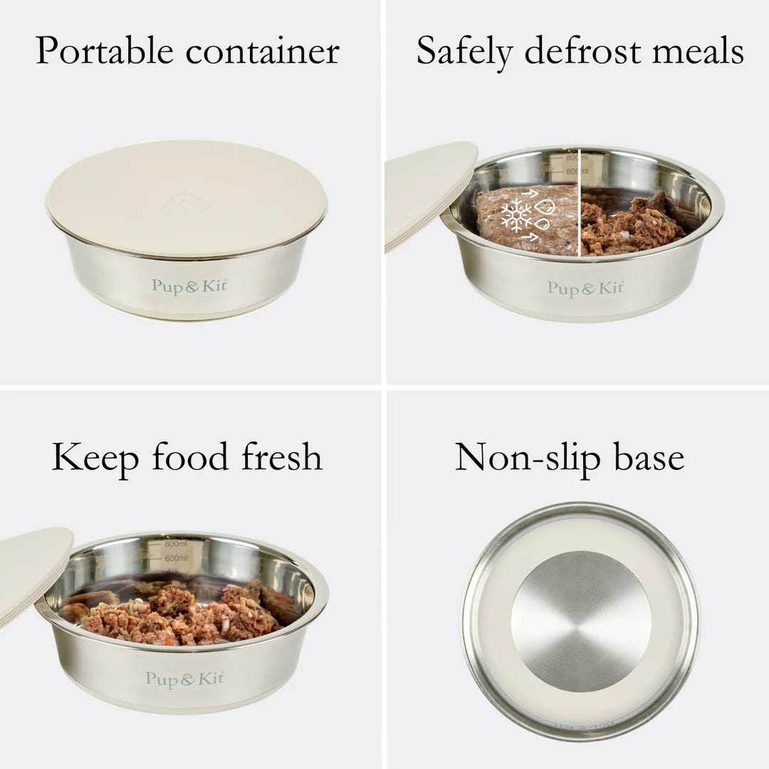 Lid-it Pet Bowl with Stay-Fresh Lid