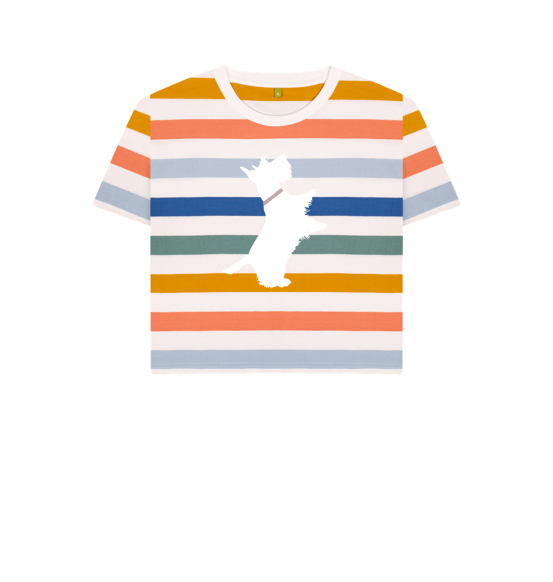 Multicolour Stripes Printed T-shirt
