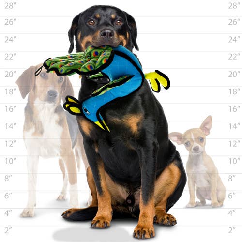 Zoo Peacock, Durable, Tough, Squeaky Dog Toy | Tuffy