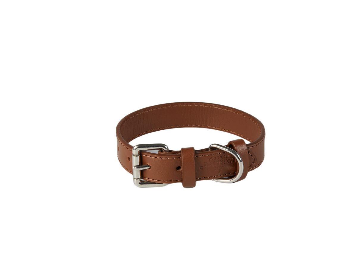 Eco Friendly Leather Dog Collar, Brown