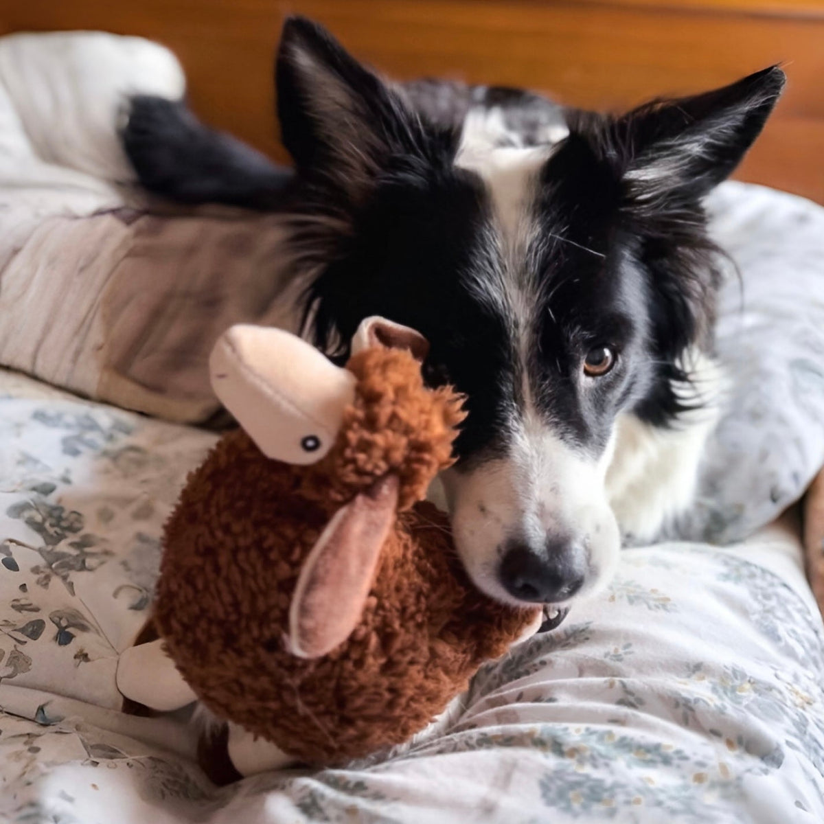 Luca Lamb, Sansa Sheep and Cotton Heart Toy Bundle