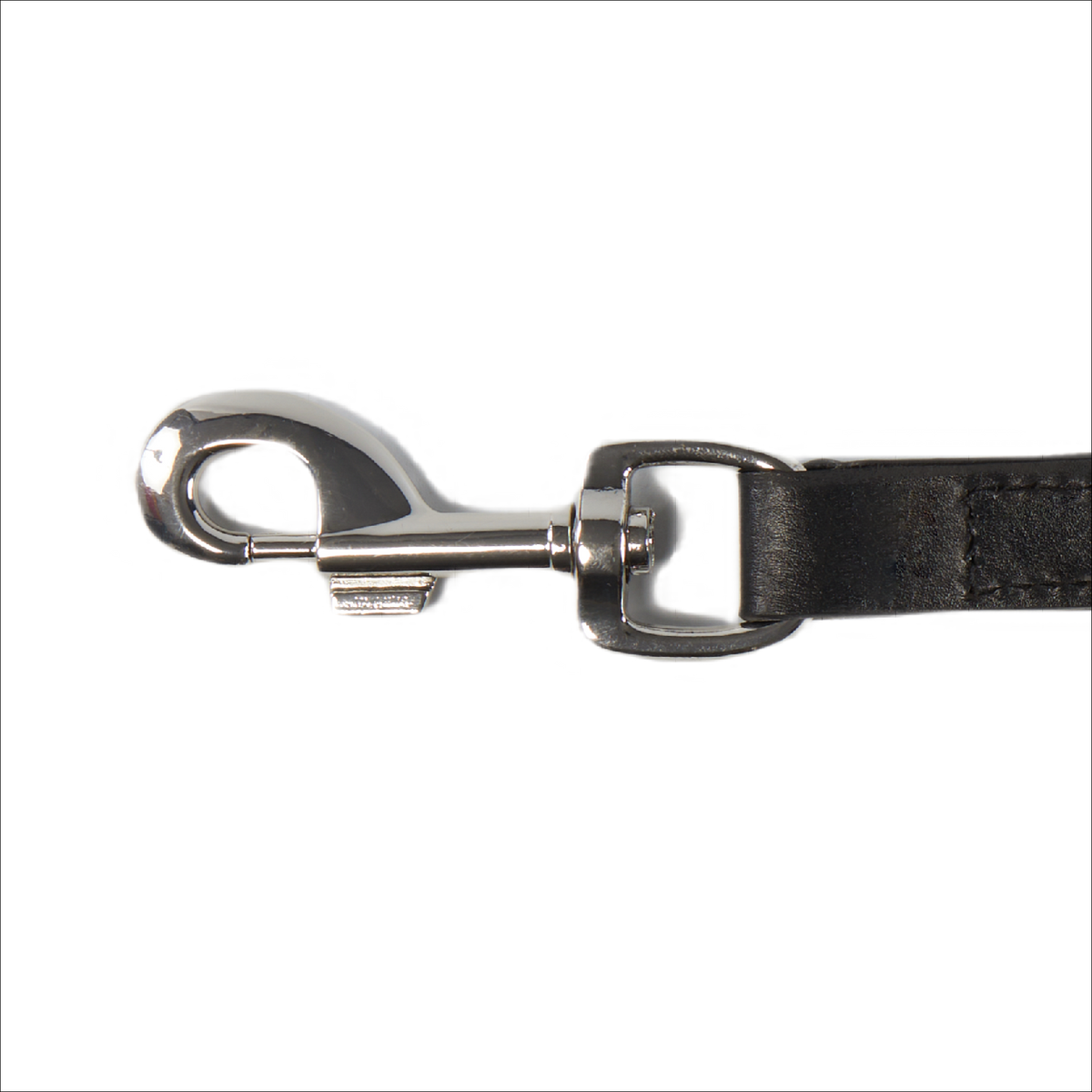 Eco Friendly Leather Dog Lead, Black