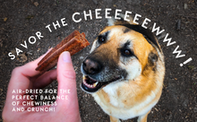 Load image into Gallery viewer, Sponge Dental Stick