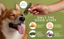 Load image into Gallery viewer, Sponge Dental Stick