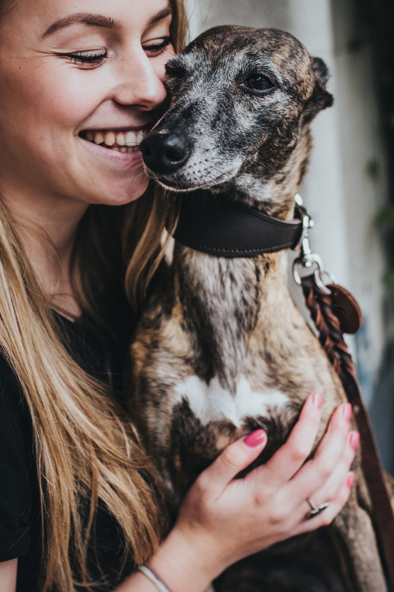 Greyhound Leather Collar Super Soft - dark brown