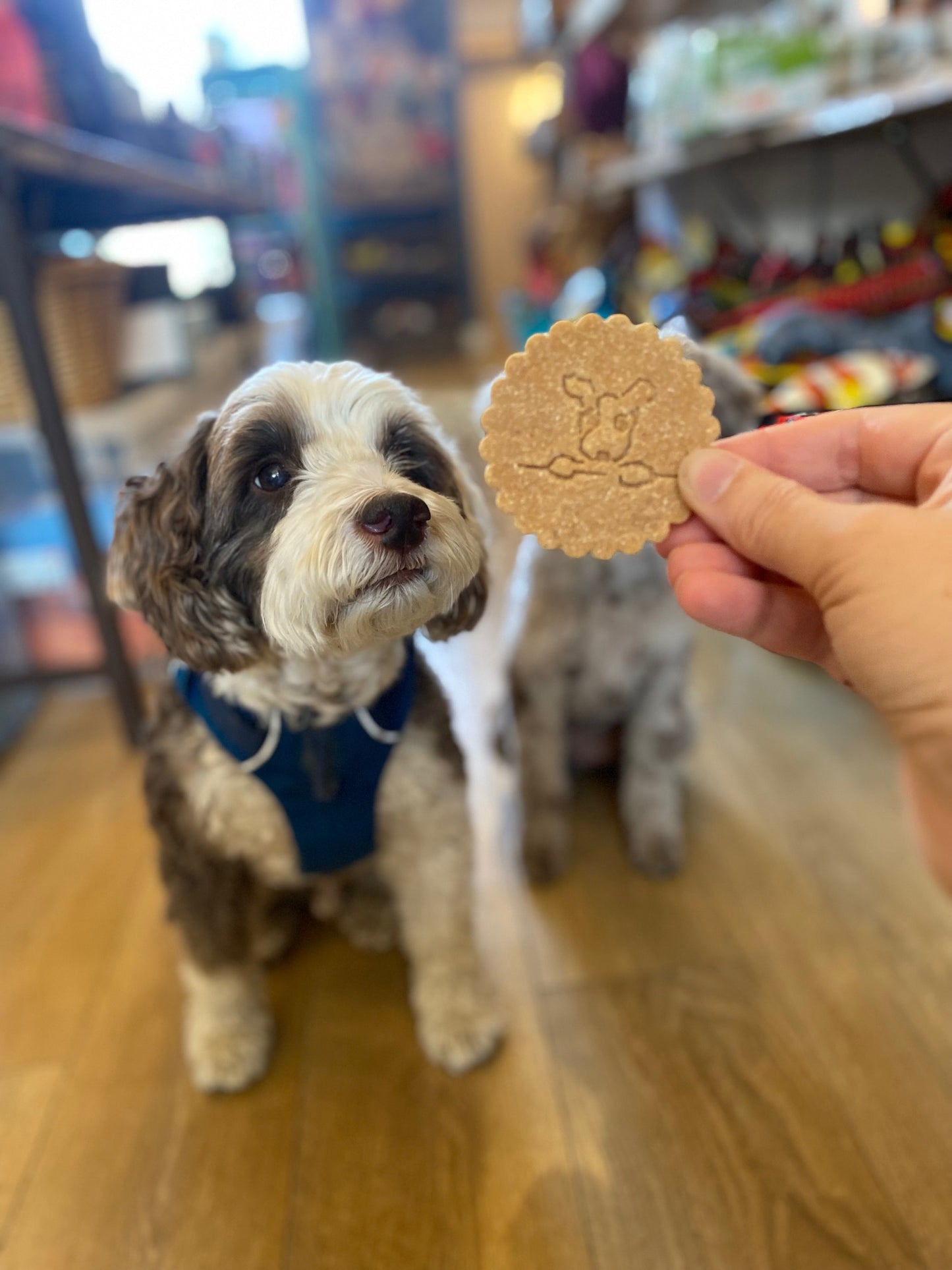 Be More Bob Apple & Peanut Butter Biccies
