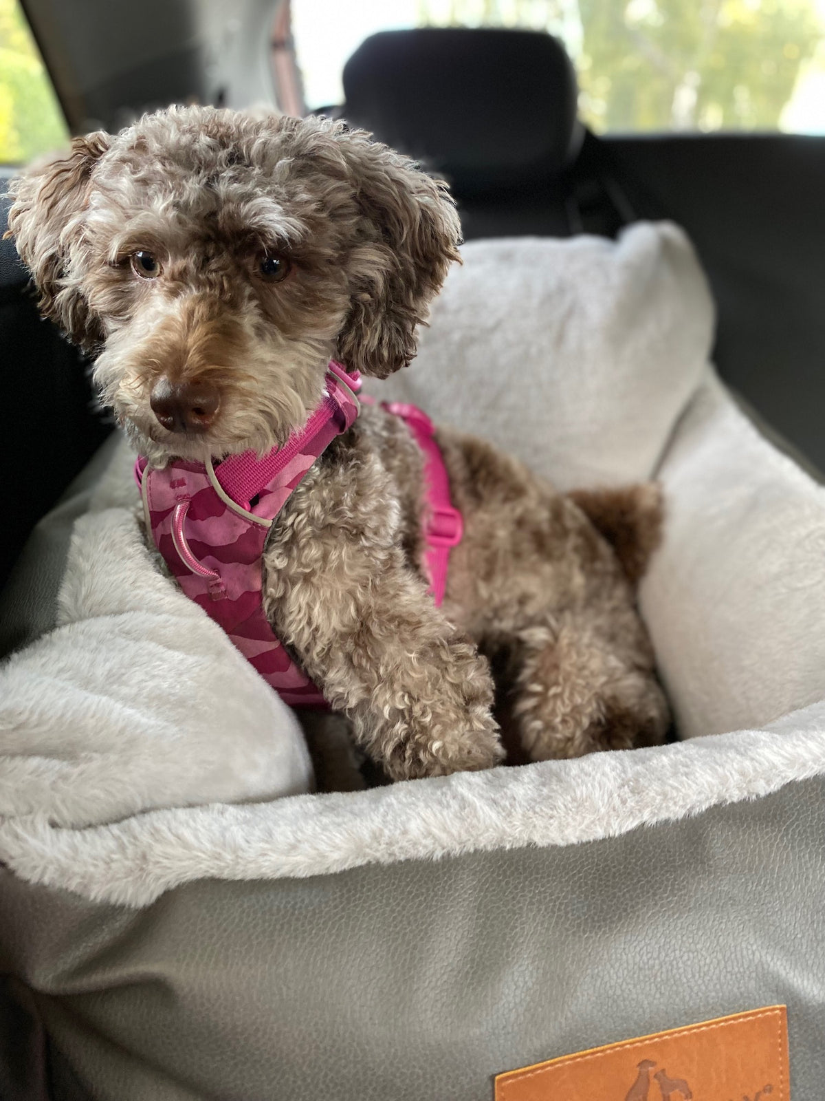 Baker & Bray Memory Foam Dog Car Seat