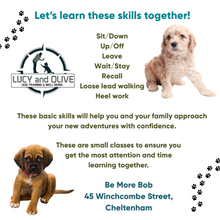 Load image into Gallery viewer, Welcome Home Pup - Puppy Classes