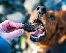 Load image into Gallery viewer, JR Ostrich Biltong