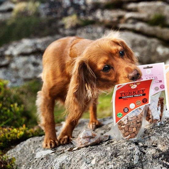 Pure Turkey Training Treats - JR Pet