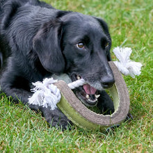 Load image into Gallery viewer, Green & Wilds Push Me, Pull Me, Eco toy