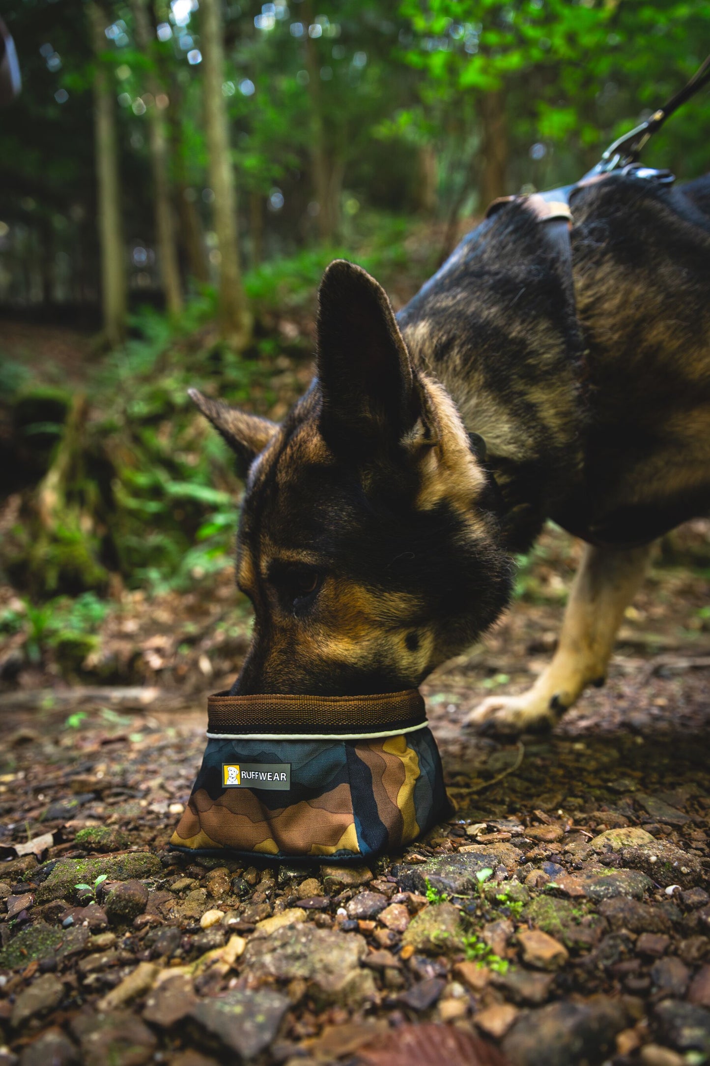 Ruffwear Quencher packable food and water bowl