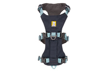 Load image into Gallery viewer, Ruffwear Flagline Harness