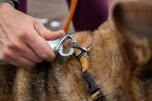Load image into Gallery viewer, Ruffwear Roamer Bungee Dog Lead - two colours