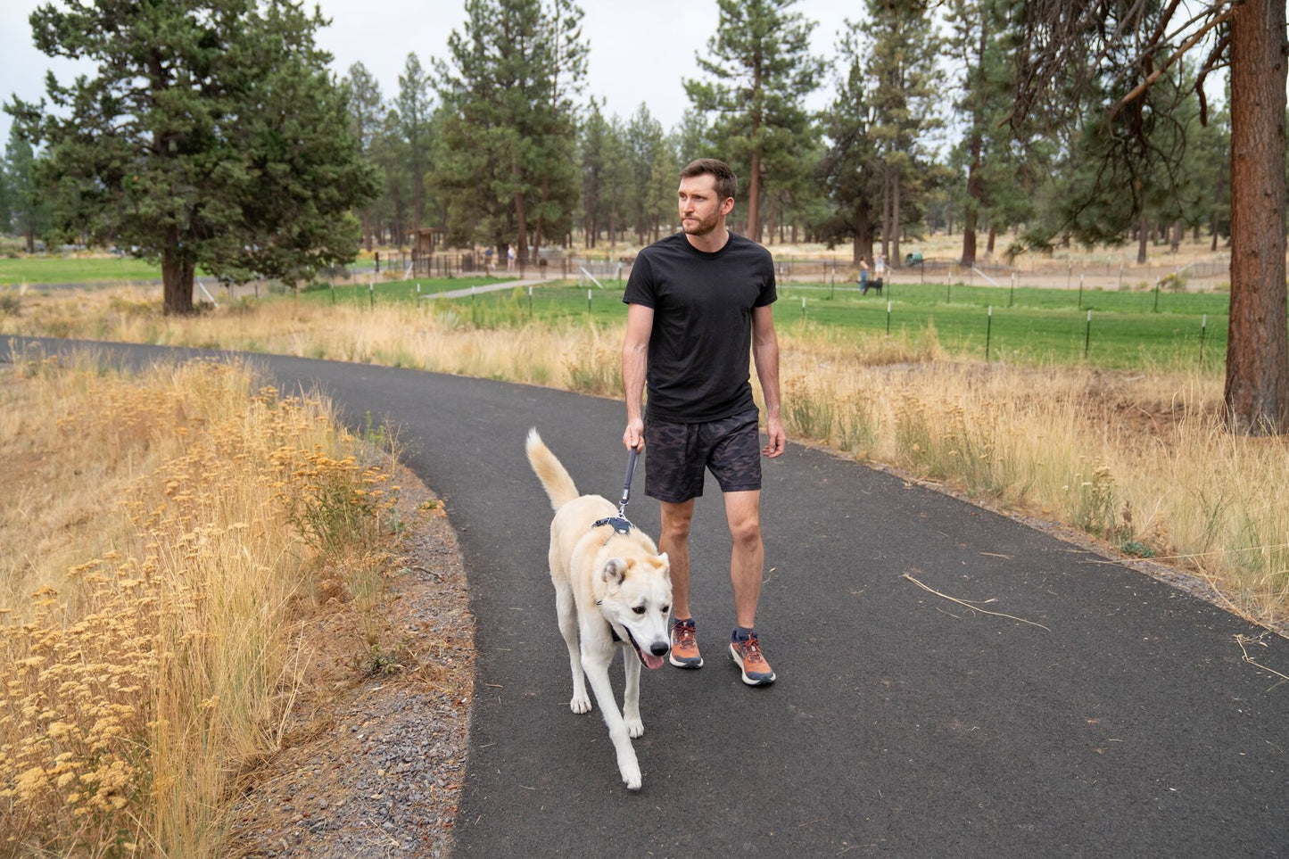 Ruffwear Front Range Lead - Short - new for 2024