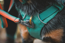 Load image into Gallery viewer, Ruffwear Front Range Lead - New Designs