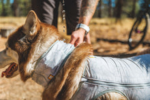 Load image into Gallery viewer, Ruffwear Swamp Cooler Cooling Neck Gaiter