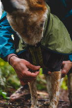 Load image into Gallery viewer, Ruffwear Sun Shower Coverall Dog Rain Suit