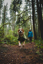 Load image into Gallery viewer, Ruffwear Sun Shower Coverall Dog Rain Suit