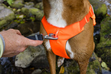 Load image into Gallery viewer, Ruffwear Web Master dog harness with handle (step in harness)