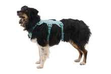 Load image into Gallery viewer, Ruffwear Web Master dog harness with handle (step in harness)
