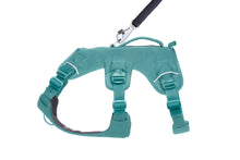 Load image into Gallery viewer, Ruffwear Web Master dog harness with handle (step in harness)