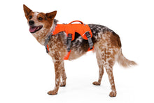Load image into Gallery viewer, Ruffwear Web Master dog harness with handle (step in harness)