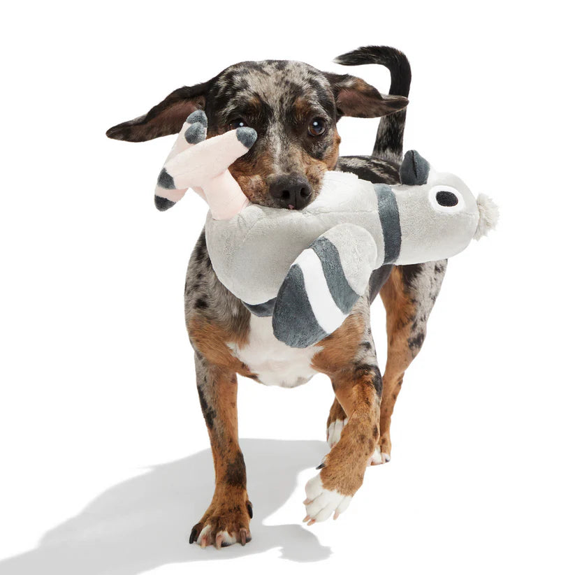 BARK Flappin Flossie Pigeon dog toy
