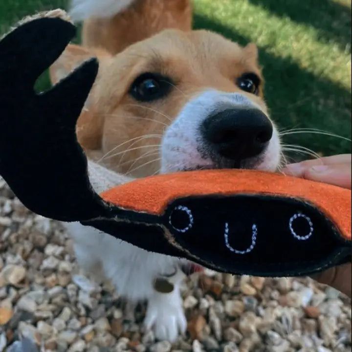 Carlos Crab, Eco Toy, Green & Wilds