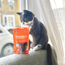 Load image into Gallery viewer, Scrumbles Chicken Krunchies: Pillow Cat Treats