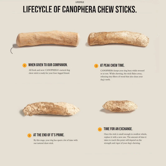 Canophera Coffee Tree Wood Chews