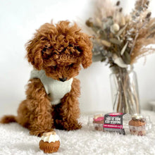 Load image into Gallery viewer, Mini Trio's of Doggy Woofins
