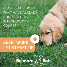 Load image into Gallery viewer, Scent Work Classes - Level Up