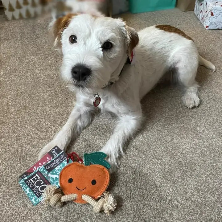 Sancho the Satsuma, Eco Toy, Green & Wilds