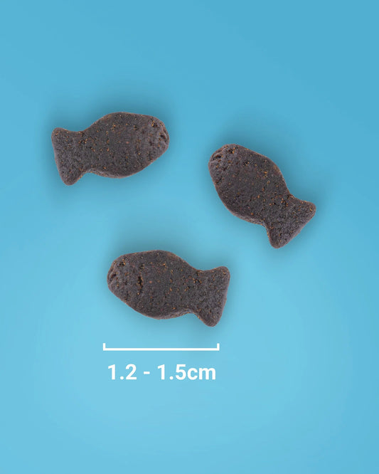 Natural Fish Puppy Training Treats - Fisher's