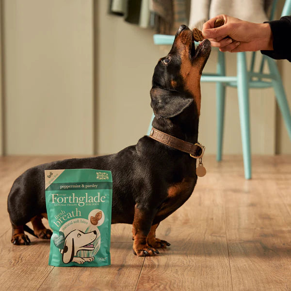 Forthglade FRESH BREATH natural soft bites