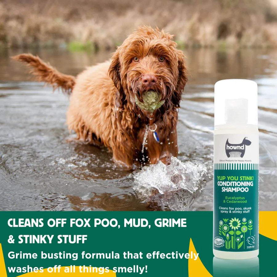 Hownd Yup You Stink Conditioning Shampoo 250ml Be More Bob