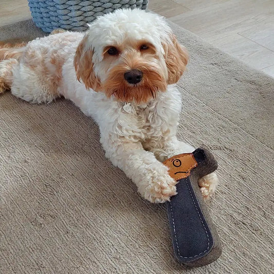 Hugo the Hammer, Eco Dog Toy, Green & Wilds