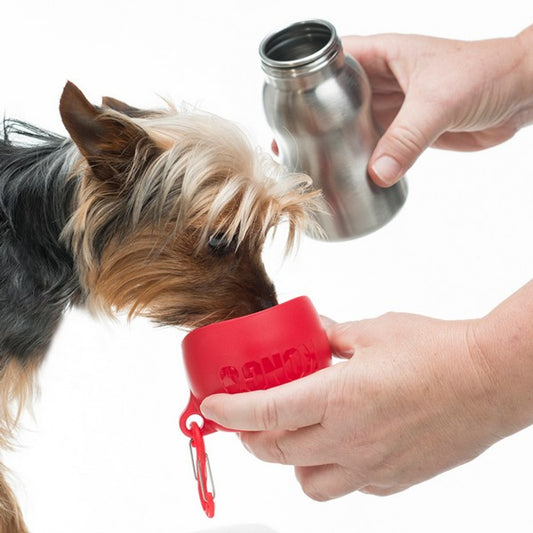 KONG H2O (280ml/9.5oz) Stainless Steel Bottle