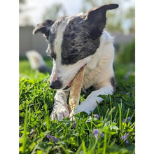 Load image into Gallery viewer, Earth Animal No Hide Salmon Strips 4pk