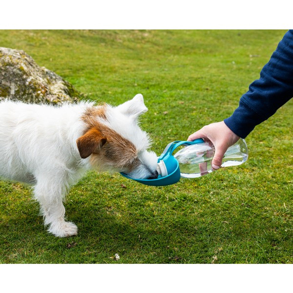 Henry Wag Travel Water Bottle