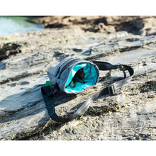 Load image into Gallery viewer, Henry Wag Treat Travel Bag