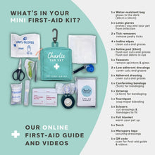 Load image into Gallery viewer, Charlie The Vet Mini Pet First Aid Kit