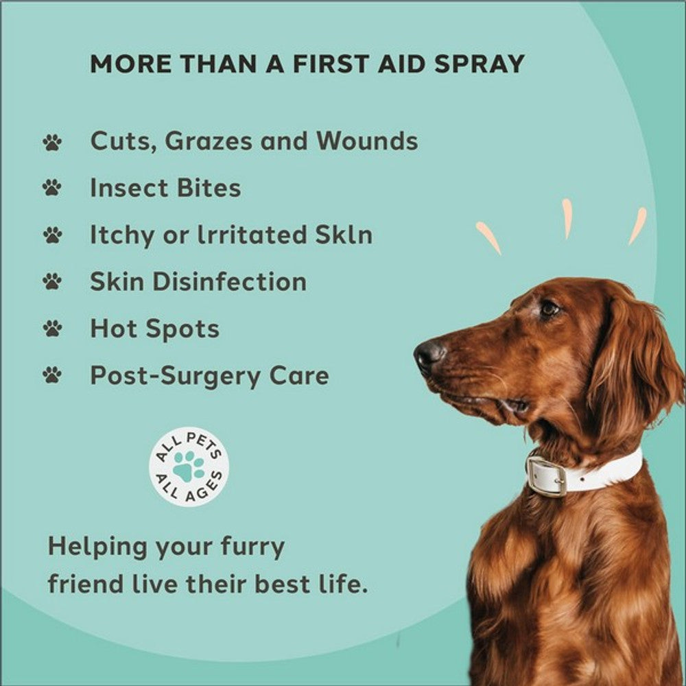Charlie The Vet Antiseptic Wound & Skin Care Spray for All Animals 100ml